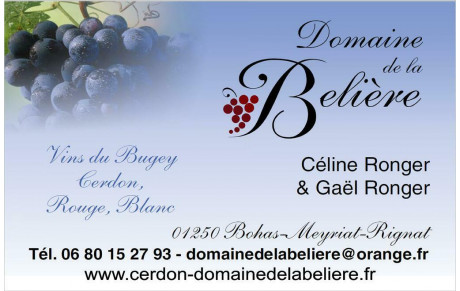 SOIREE REMERCIEMENTS SPONSORS - COACHES - BENEVOLES
