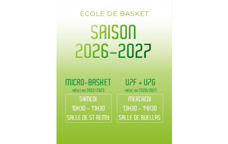 Micro Basket