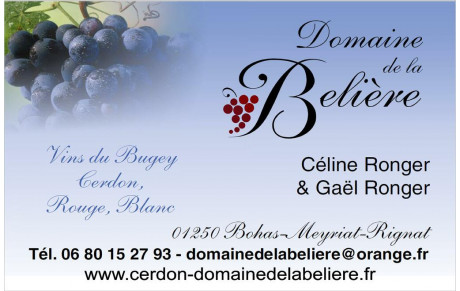 DOMAINE DE LA BELIERE