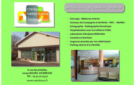 CLINIQUE VETERINAIRE DE BROU